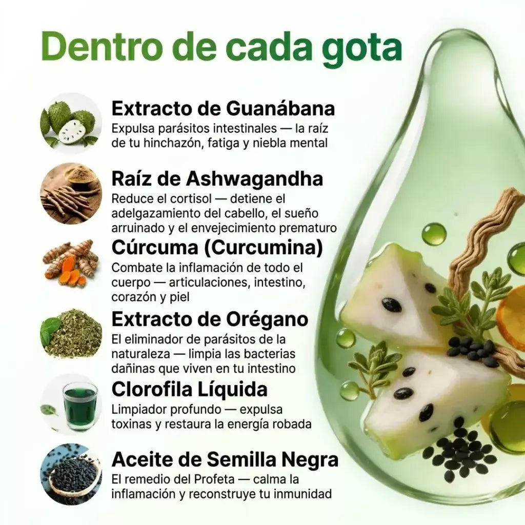Vixion | Limpieza Digestiva y Antiparasitaria con Efecto de Drenaje Linfático