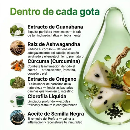 Vixion | Limpieza Digestiva y Antiparasitaria con Efecto de Drenaje Linfático
