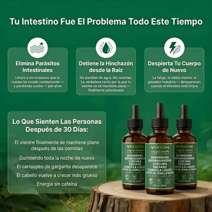 Vixion | Limpieza Digestiva y Antiparasitaria con Efecto de Drenaje Linfático